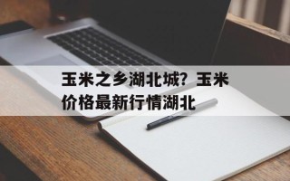 玉米之乡湖北城？玉米价格最新行情湖北
