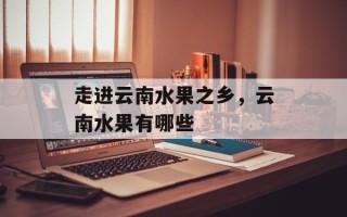 走进云南水果之乡，云南水果有哪些