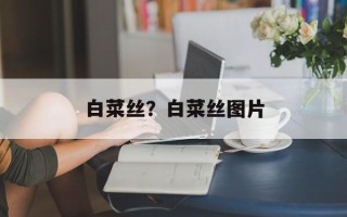 白菜丝？白菜丝图片