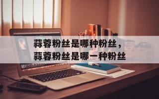 蒜蓉粉丝是哪种粉丝，蒜蓉粉丝是哪一种粉丝