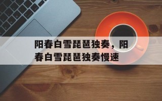 阳春白雪琵琶独奏，阳春白雪琵琶独奏慢速