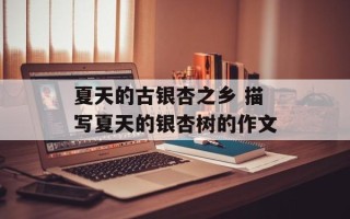 夏天的古银杏之乡 描写夏天的银杏树的作文