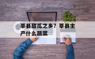 莘县甜瓜之乡？莘县主产什么蔬菜