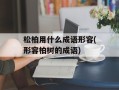松柏用什么成语形容(形容柏树的成语)