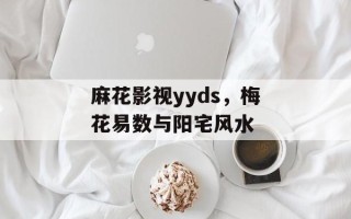 麻花影视yyds，梅花易数与阳宅风水