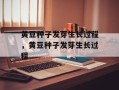 黄豆种子发芽生长过程，黄豆种子发芽生长过程