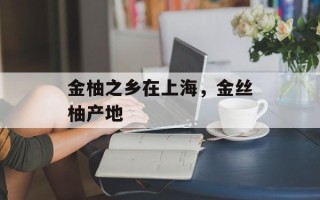 金柚之乡在上海，金丝柚产地