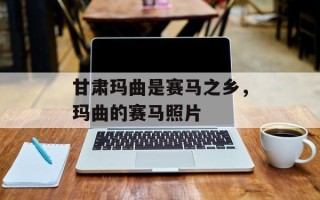 甘肃玛曲是赛马之乡，玛曲的赛马照片