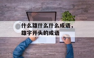 什么雄什么什么成语，雄字开头的成语