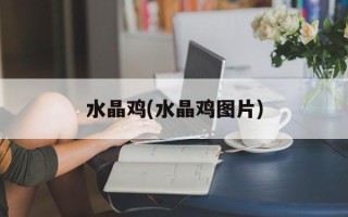 水晶鸡(水晶鸡图片)