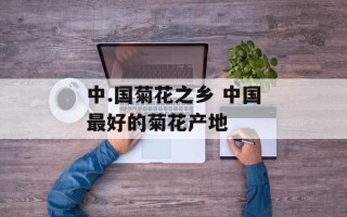 中.国菊花之乡 中国最好的菊花产地