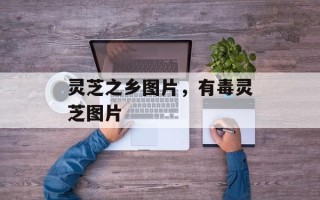 灵芝之乡图片，有毒灵芝图片