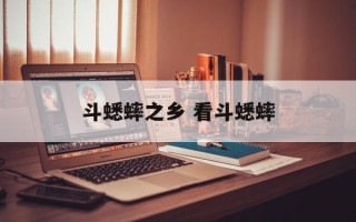 斗蟋蟀之乡 看斗蟋蟀