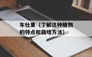 车杜里（了解这种植物的特点和栽培方法）