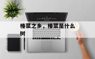 椿菜之乡，椿菜是什么树
