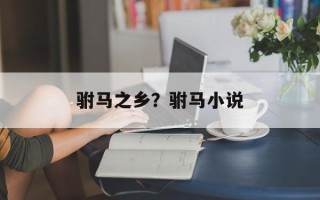 驸马之乡？驸马小说