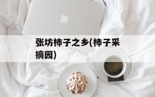 张坊柿子之乡(柿子采摘园)