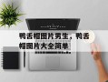 鸭舌帽图片男生，鸭舌帽图片大全简单