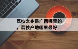 荔枝之乡是广西哪里的，荔枝产地哪里最好