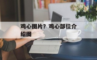 鸡心图片？鸡心部位介绍图