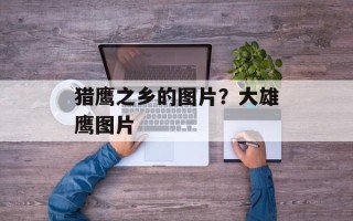 猎鹰之乡的图片？大雄鹰图片