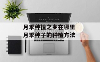 月季种植之乡在哪里 月季种子的种植方法