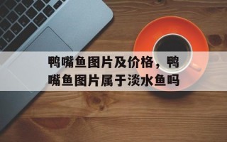 鸭嘴鱼图片及价格，鸭嘴鱼图片属于淡水鱼吗