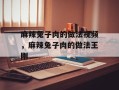 麻辣兔子肉的做法视频，麻辣兔子肉的做法王刚