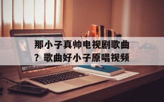 那小子真帅电视剧歌曲？歌曲好小子原唱视频