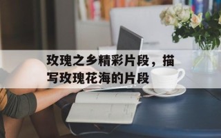 玫瑰之乡精彩片段，描写玫瑰花海的片段