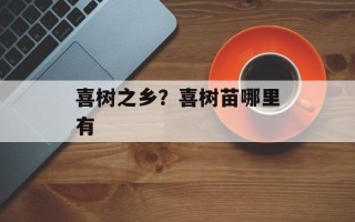 喜树之乡？喜树苗哪里有