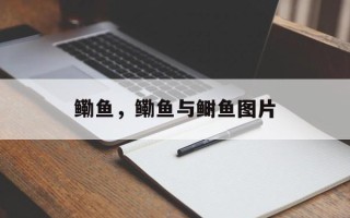 鳓鱼，鳓鱼与鲥鱼图片