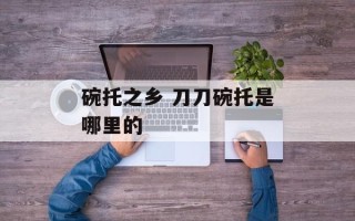 碗托之乡 刀刀碗托是哪里的