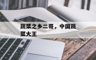 蔬菜之乡二哥，中国蔬菜大王