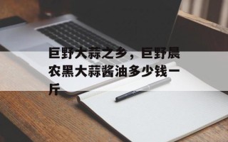 巨野大蒜之乡，巨野晨农黑大蒜酱油多少钱一斤