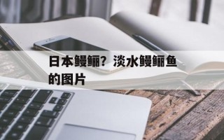 日本鳗鲡？淡水鳗鲡鱼的图片