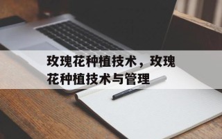 玫瑰花种植技术，玫瑰花种植技术与管理