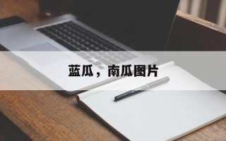蓝瓜，南瓜图片