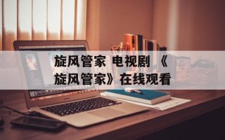 旋风管家 电视剧 《旋风管家》在线观看
