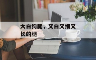 大白狗腿，又白又细又长的腿