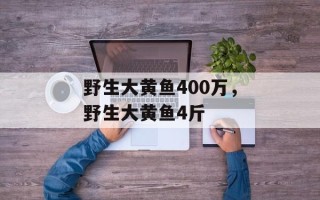 野生大黄鱼400万，野生大黄鱼4斤