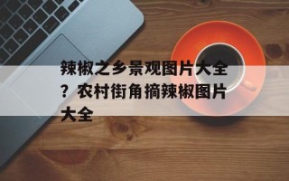 辣椒之乡景观图片大全？农村街角摘辣椒图片大全