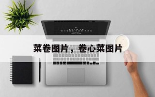 菜卷图片，卷心菜图片