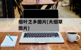 烟叶之乡图片(大烟草图片)