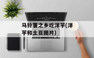 马铃薯之乡吃洋芋(洋芋和土豆图片)