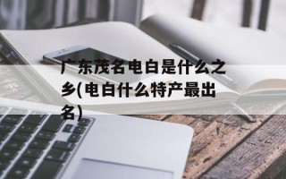 广东茂名电白是什么之乡(电白什么特产最出名)