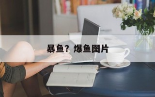 暴鱼？爆鱼图片