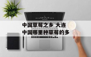 中国草莓之乡 大连 中国哪里种草莓的多