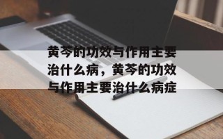 黄芩的功效与作用主要治什么病，黄芩的功效与作用主要治什么病症