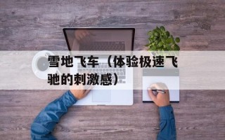 雪地飞车（体验极速飞驰的刺激感）